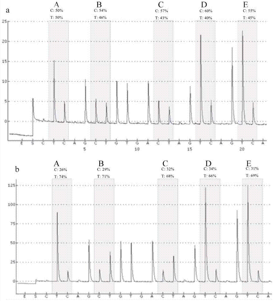 Quantitative comparison method for detecting fragile X syndrome based on methylation level and primer used in quantitative comparison method