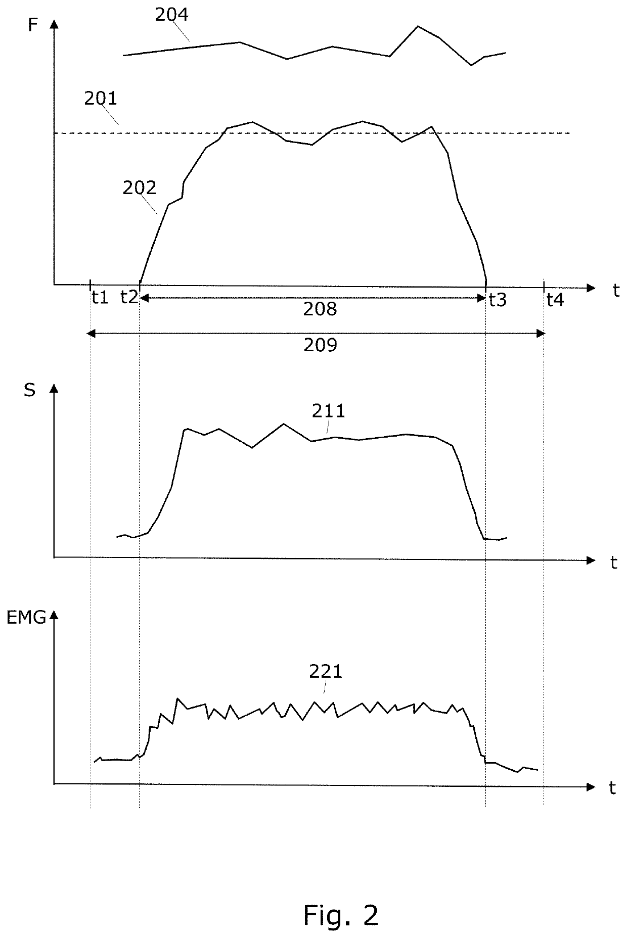 Ultrasonographic method for measuring muscle deformation