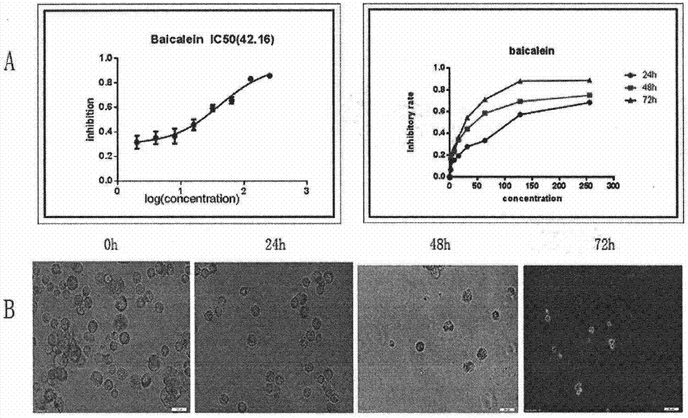 Application of baicalein in preparation of drugs for treating pancreatic cancer