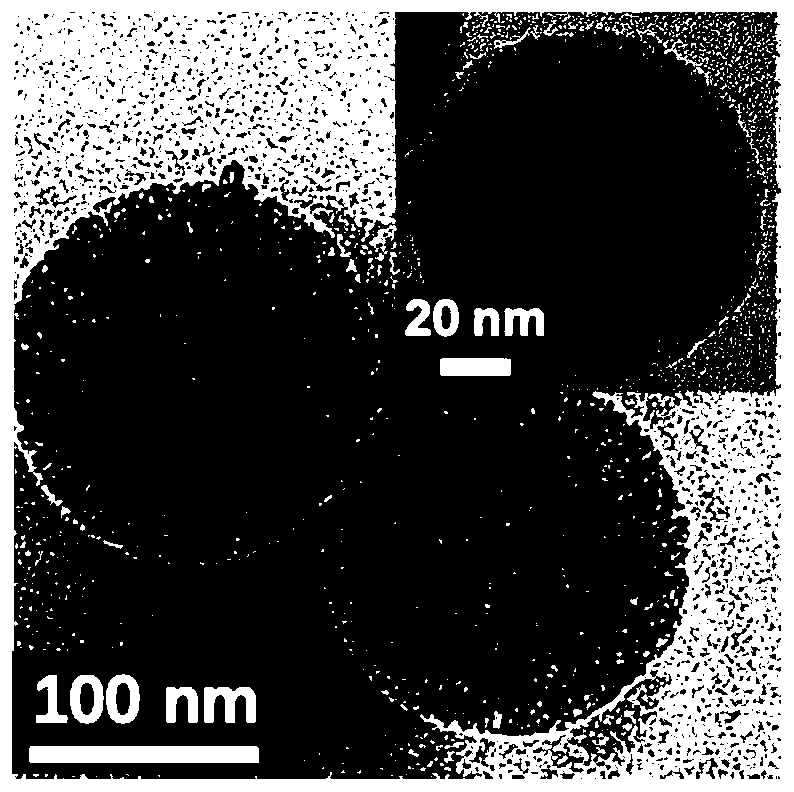 Preparation method of bismuth quantum dot material growing in mesoporous silica nanoparticles