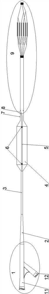 Balloon dilatation catheter with thrombus filter