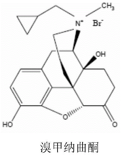 Methylnaltrexone bromide solid composition and preparation method thereof