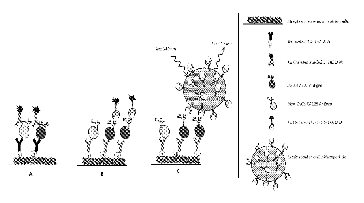 Diagnostics of gyneacological diseases, especially epithelial ovarian cancer