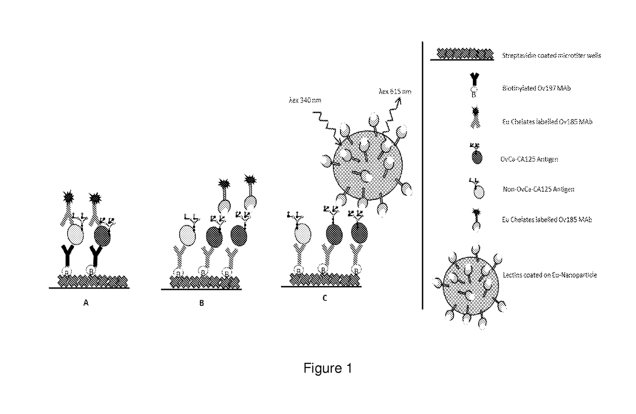 Diagnostics of gyneacological diseases, especially epithelial ovarian cancer