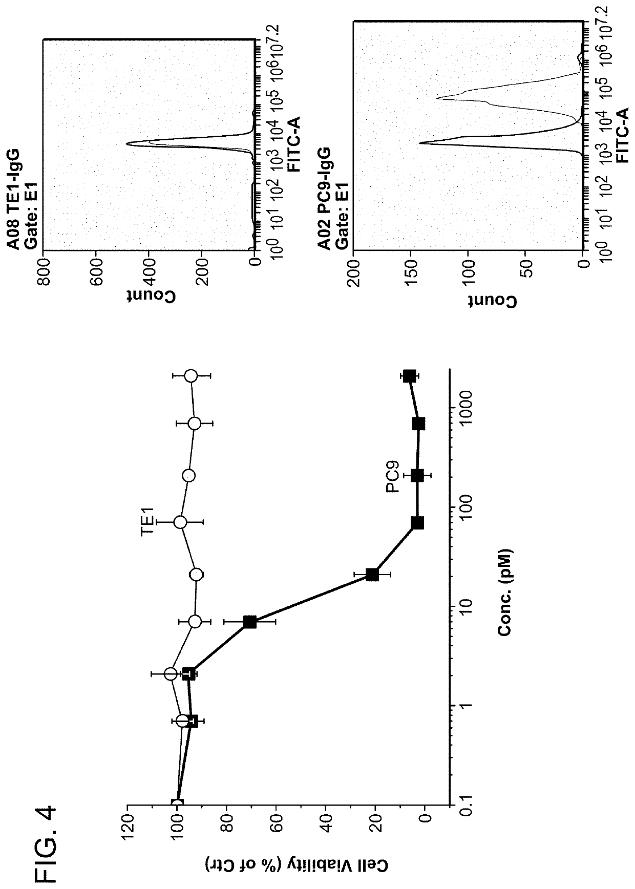 Therapeutic antibody and uses thereof