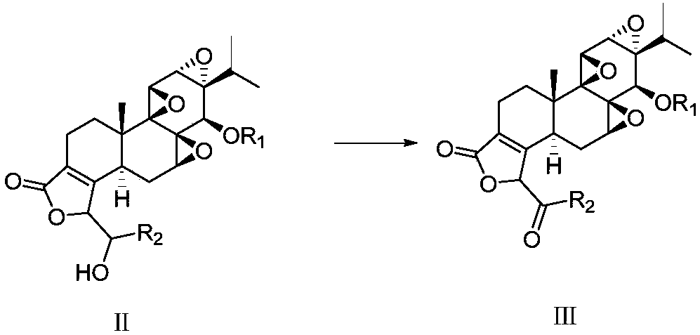 C19-acylated triptolide methyl derivative