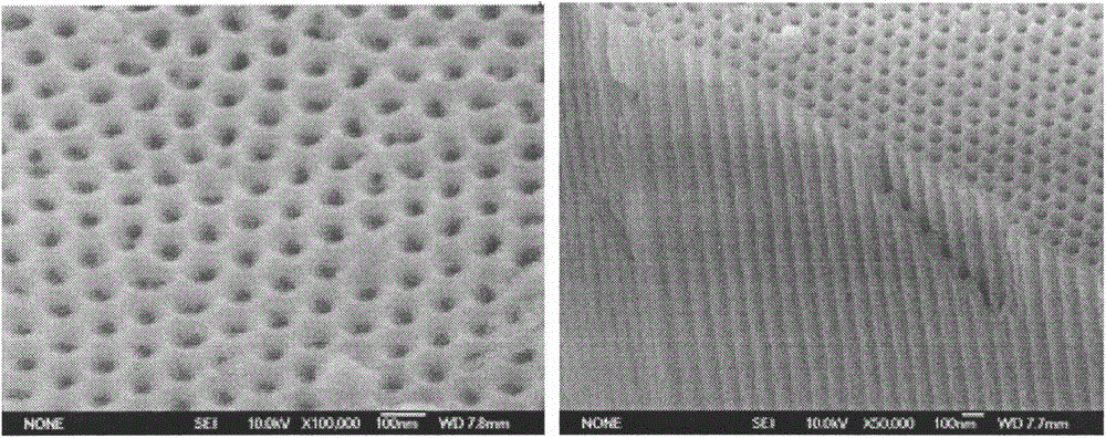 Novel solar cell back reflector with AAO nanometer grating structure