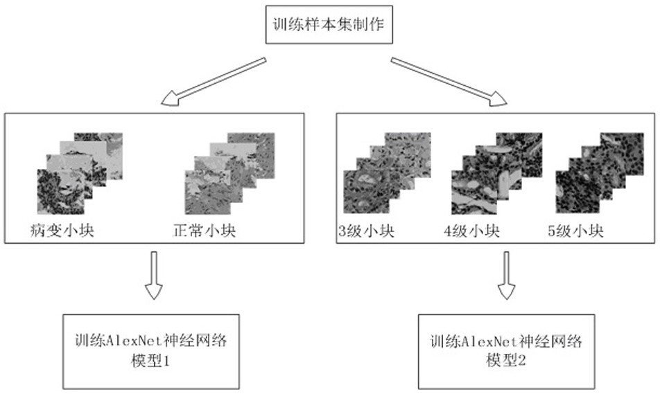 Rapid diagnosis and scoring method for full-scale pathological slices based on deep learning