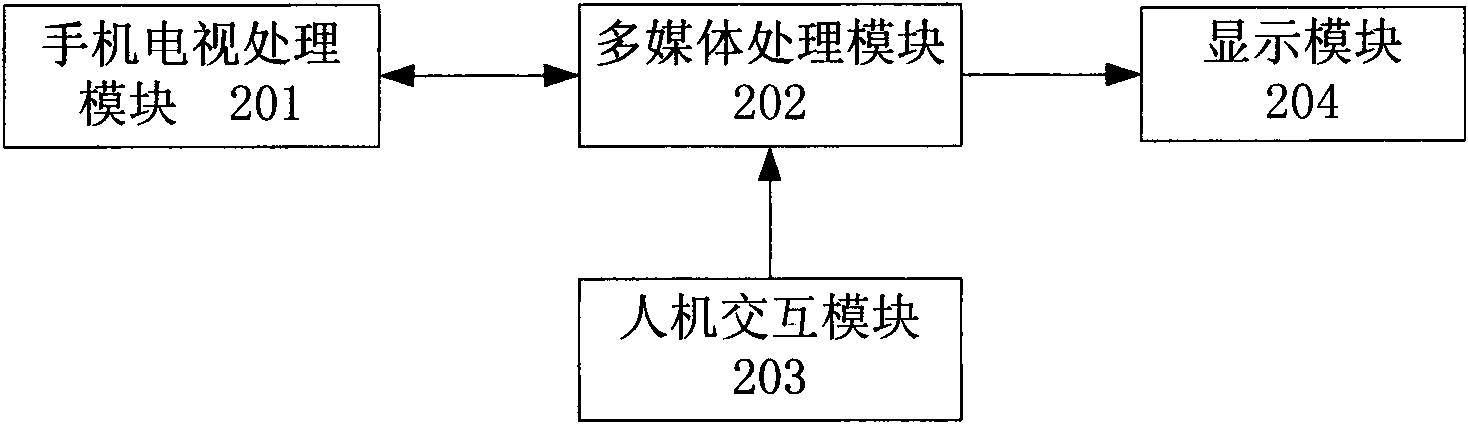 Method for locally amplifying picture played by mobile TV and mobile terminal