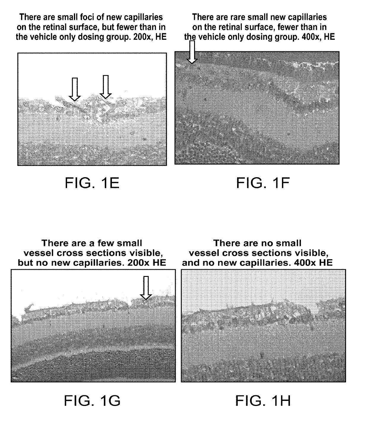 Ophthalmic compositions of rifamycins and uses thereof