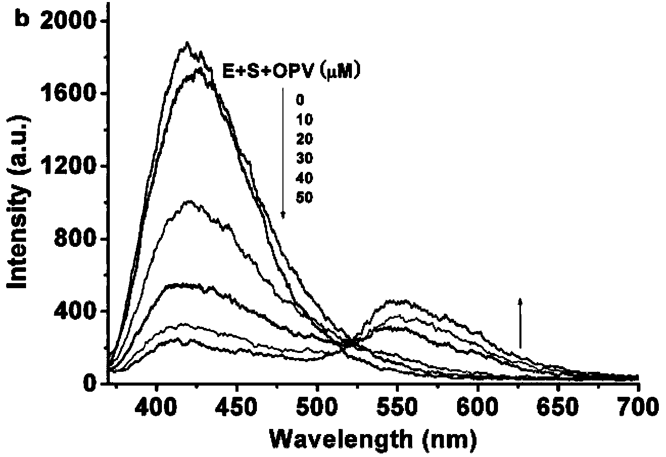 Photodynamic treatment medicament, medical composition and preparation method thereof