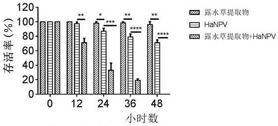 A kind of pesticide for controlling cotton bollworm by nuclear polyhedrosis virus and its preparation method and application