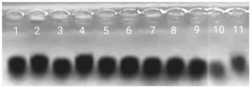 New application and preparation method of hyaluronic acid fragment