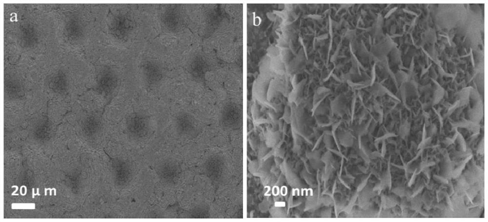 Boron-doped diamond microarray electrode loaded by metal nanosheets, preparation method of boron-doped diamond microarray electrode and application of boron-doped diamond microarray electrode in glucose sensor