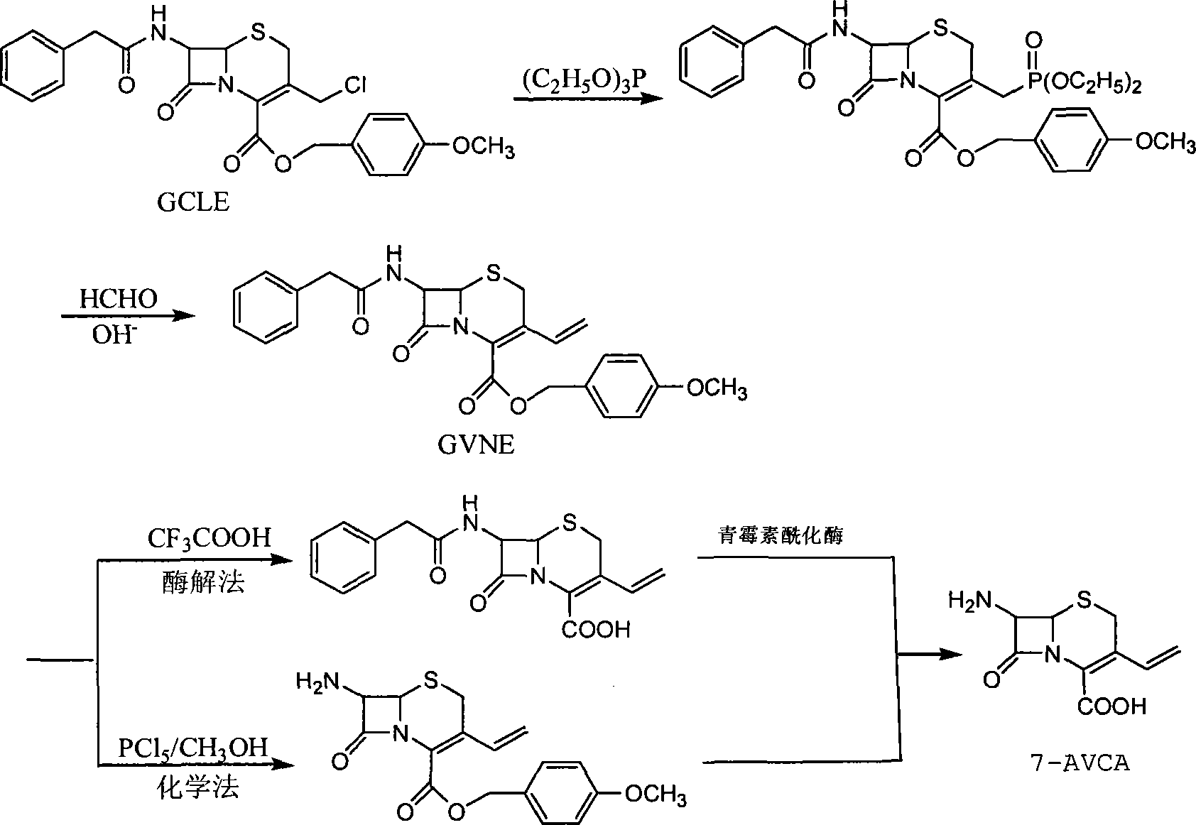 Method for preparing 7-amido-3-vinyl cethalosporanic acid