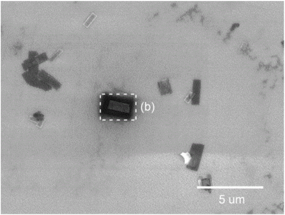 Spiral-dislocation-driven preparation method for growing spiral laminar tin selenide nanosheets