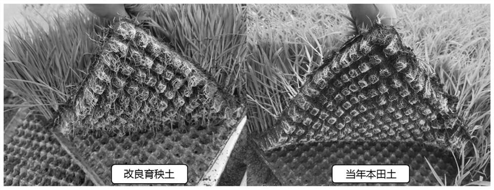 Method for improving rice seedling raising soil by using artificial humus