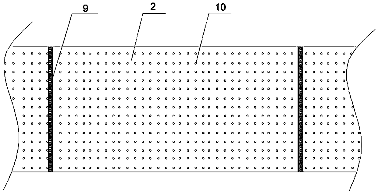 Porphyra haitanensis processing equipment and using method thereof