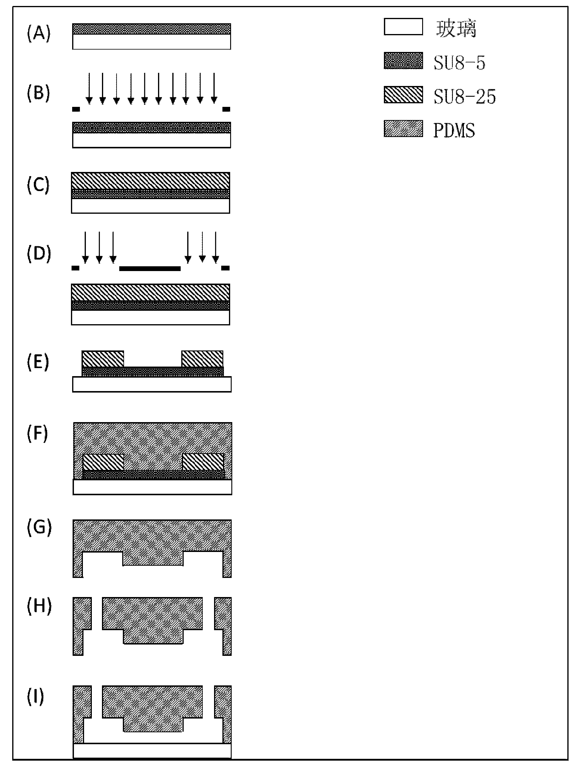 System for simultaneous representation of single cell Young's modulus and cell membrane specific capacitance