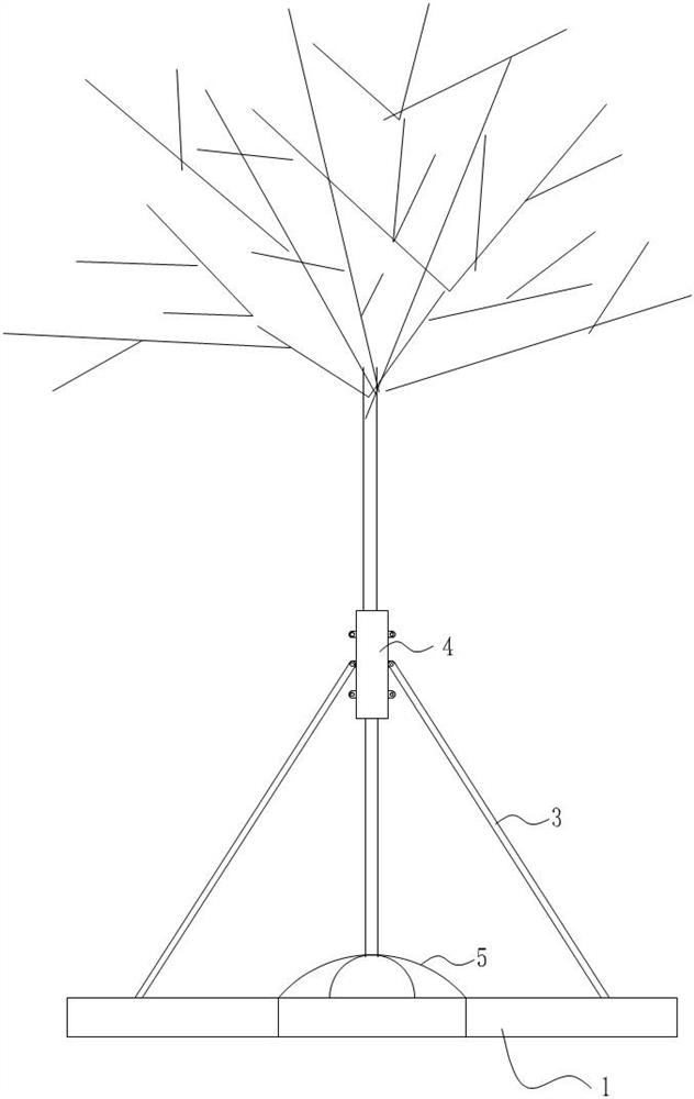 Prefabricated green roof plant support