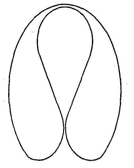 Kidney-shaped elastic rectoscope