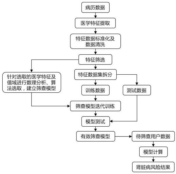 ai Chronic kidney disease risk screening modeling method, chronic kidney disease risk screening method and system