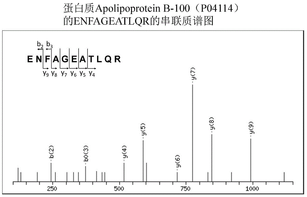 Test method of palmitoylated modified protein based on specific antibody