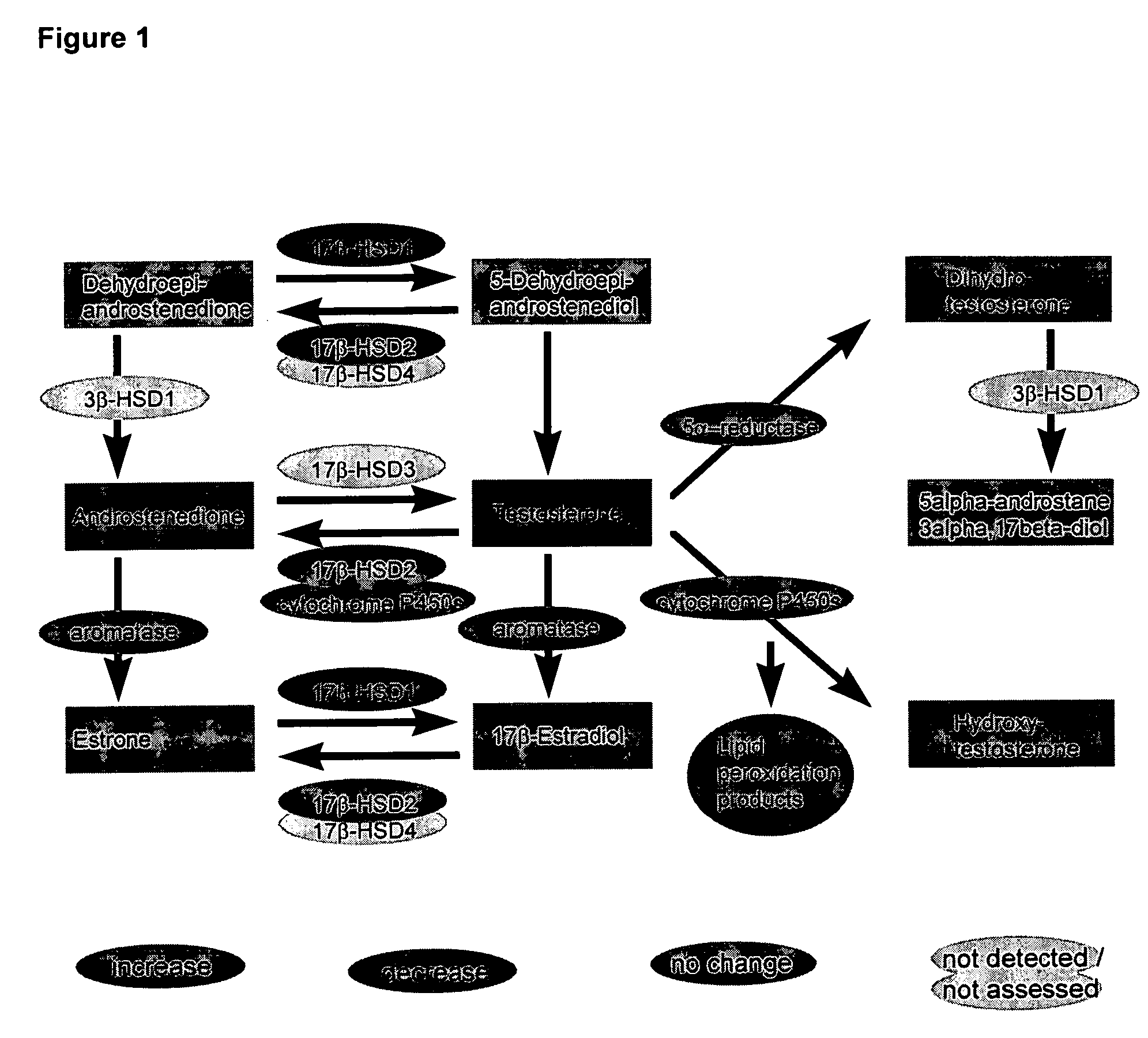 Methods and agents for treating cardiovascular diseases