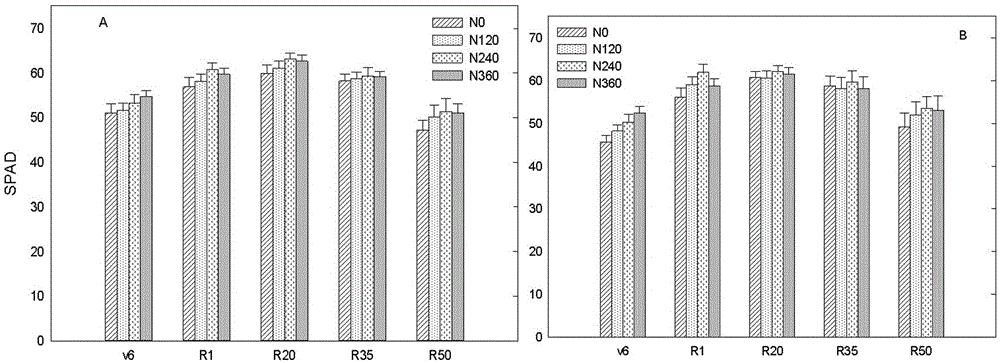 High-yield cultivation method based on corn carbon and nitrogen metabolism difference