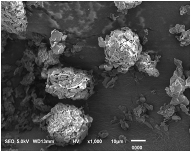 nano sio  <sub>2</sub> Coated bn composite powder, its preparation method and thermally conductive material