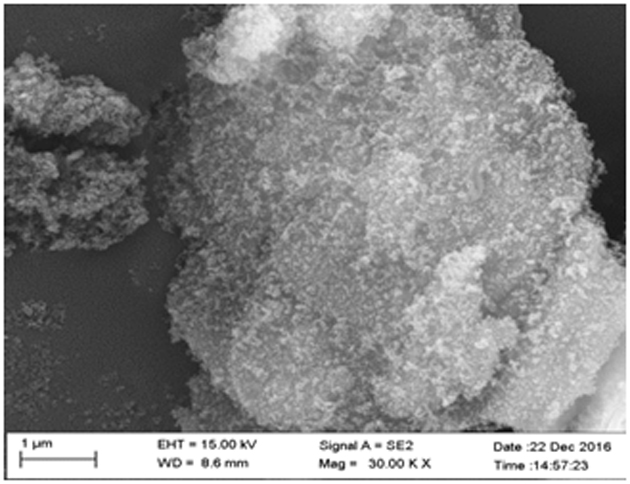 nano sio  <sub>2</sub> Coated bn composite powder, its preparation method and thermally conductive material