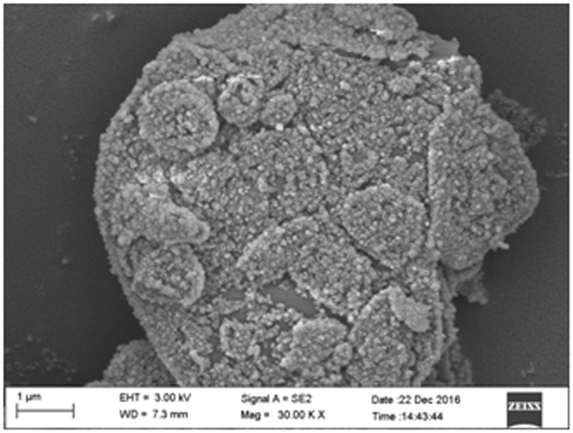 nano sio  <sub>2</sub> Coated bn composite powder, its preparation method and thermally conductive material