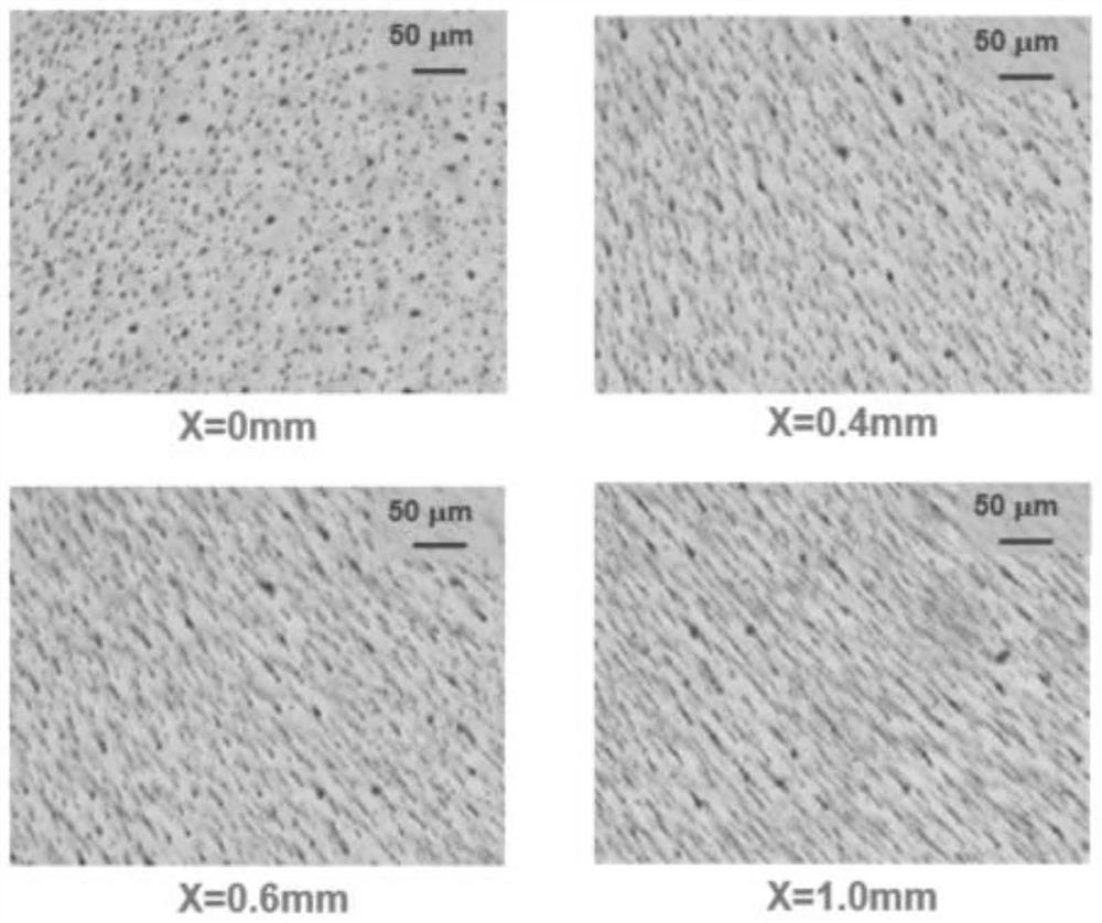 Flexible film with light transmittance capable of being regulated and controlled through shear strain and preparation method of flexible film