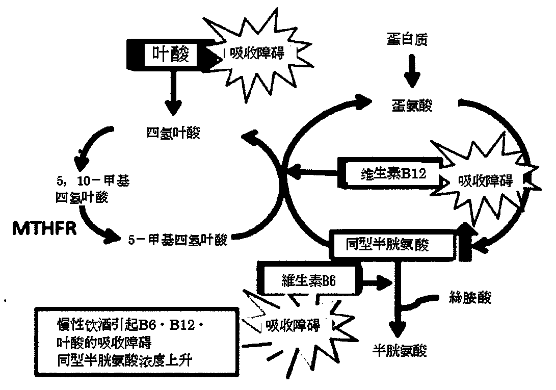 Brain health food or brain health beverage, and method for administering same