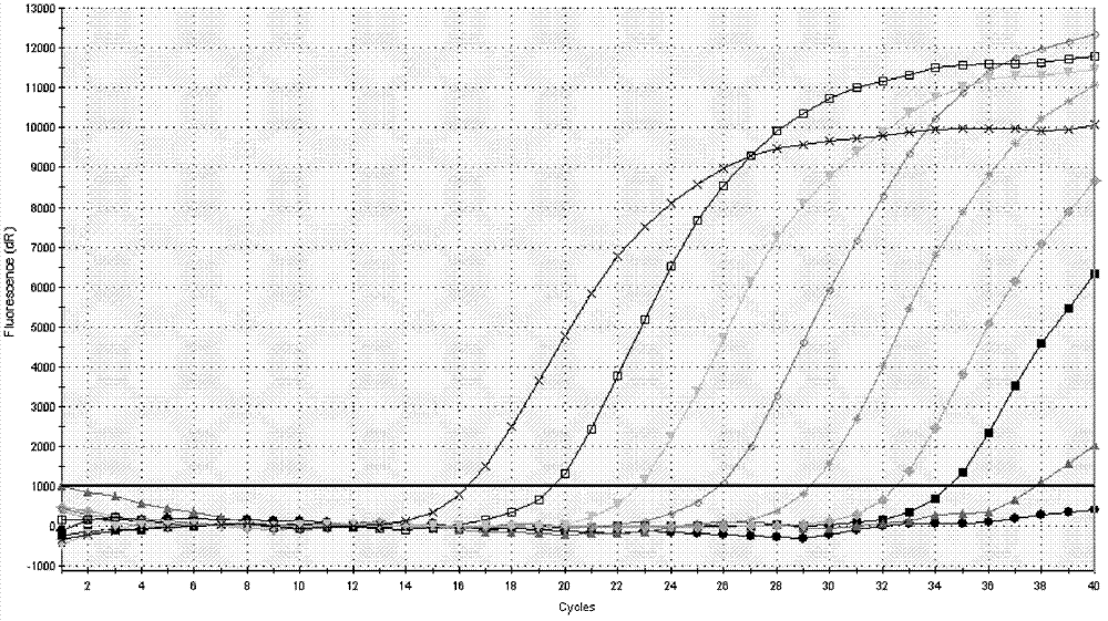 Detection method of JC virus as well as kit and application thereof