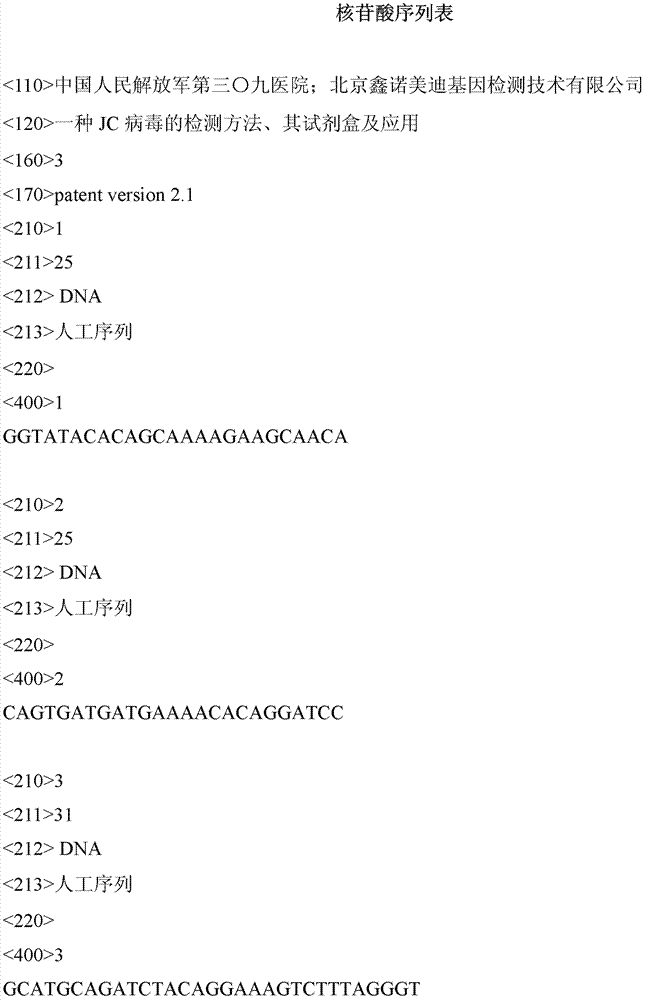 Detection method of JC virus as well as kit and application thereof