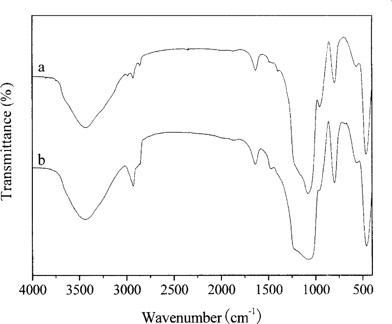 Method for preparing modification functional groups on external surfaces of pores of mesoporous silica material