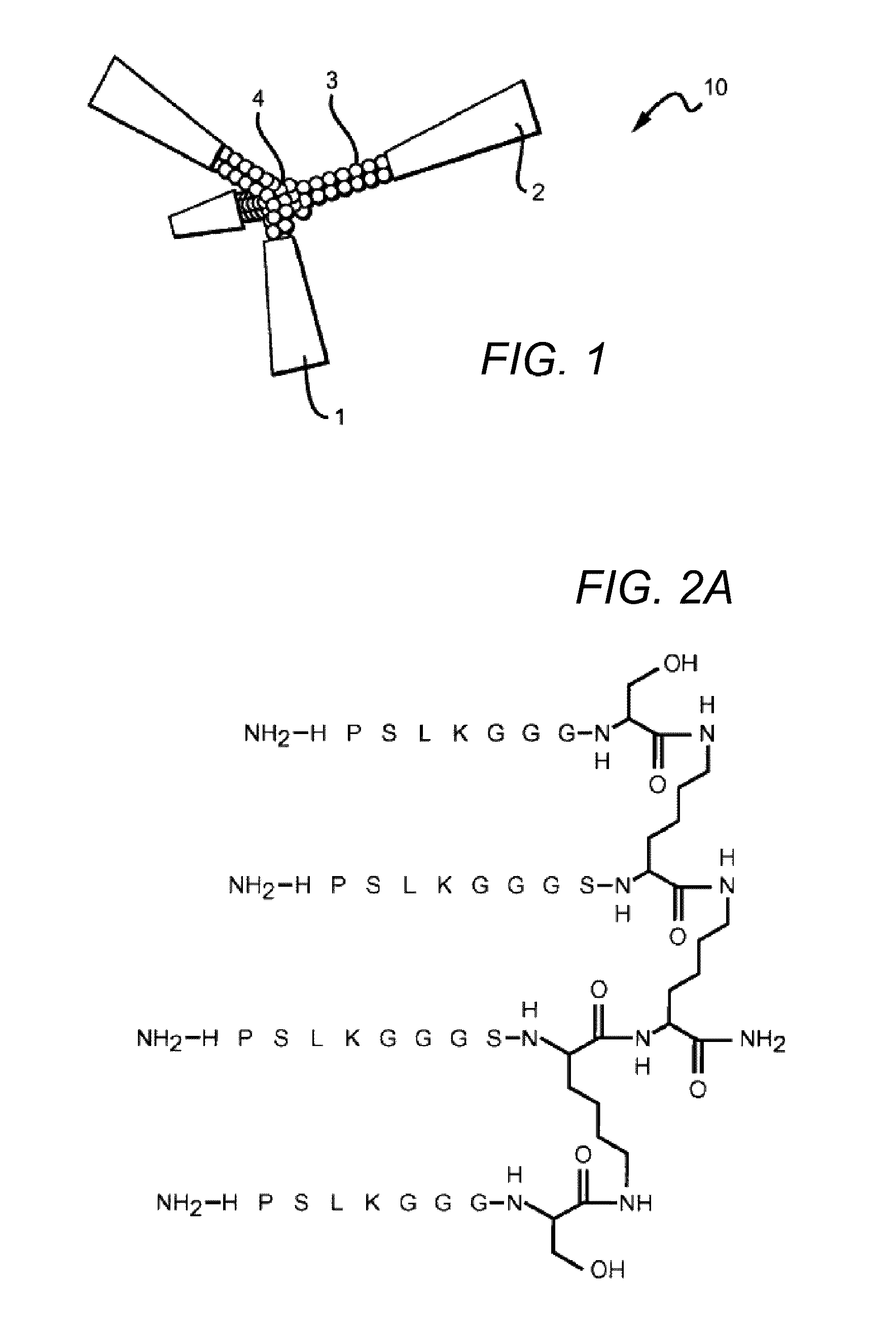 Therapeutic peptides and uses thereof
