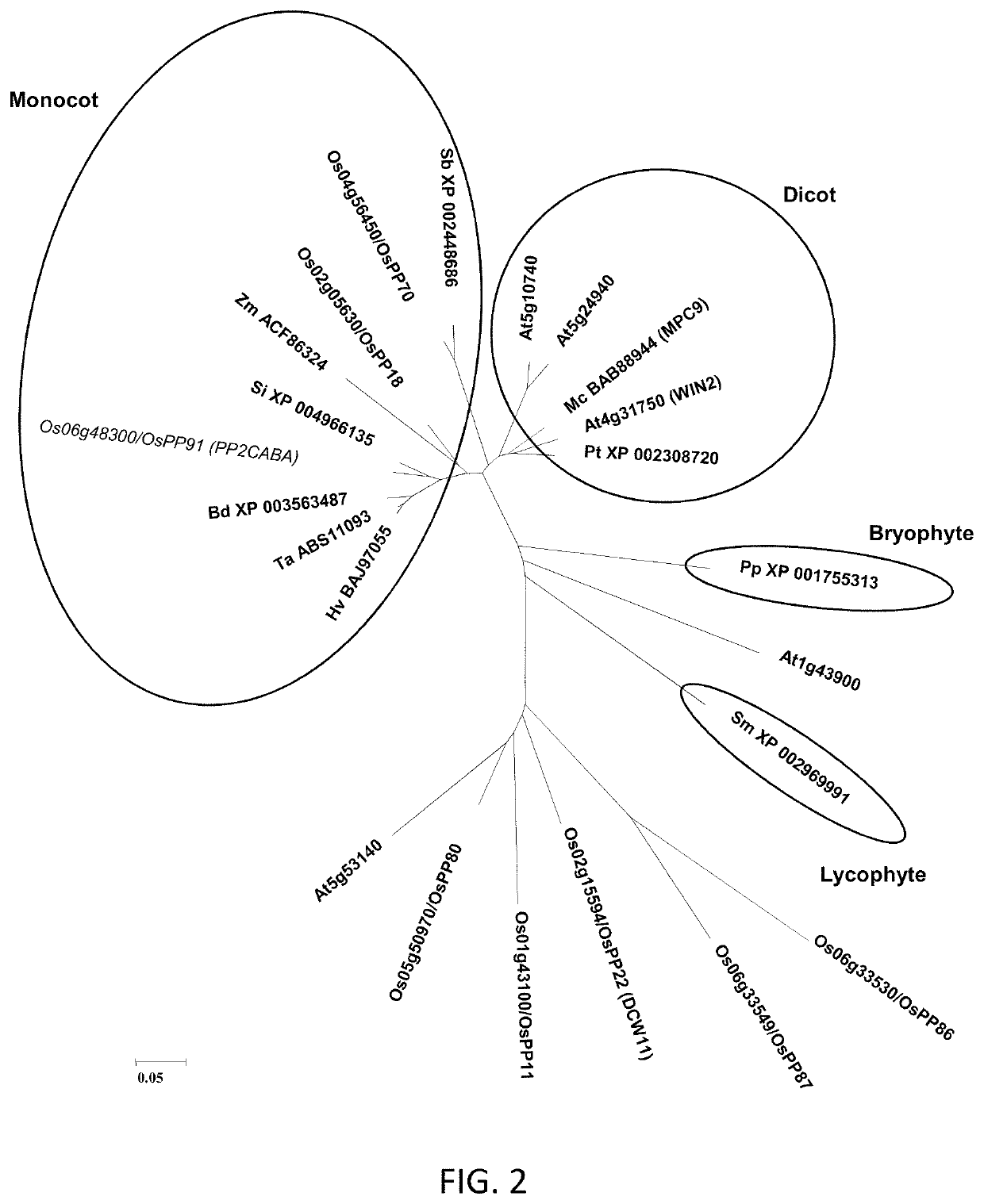 Transgenic plants expressing type 2C protein phosphatase abscisic acid (PP2CABA) proteins and uses thereof