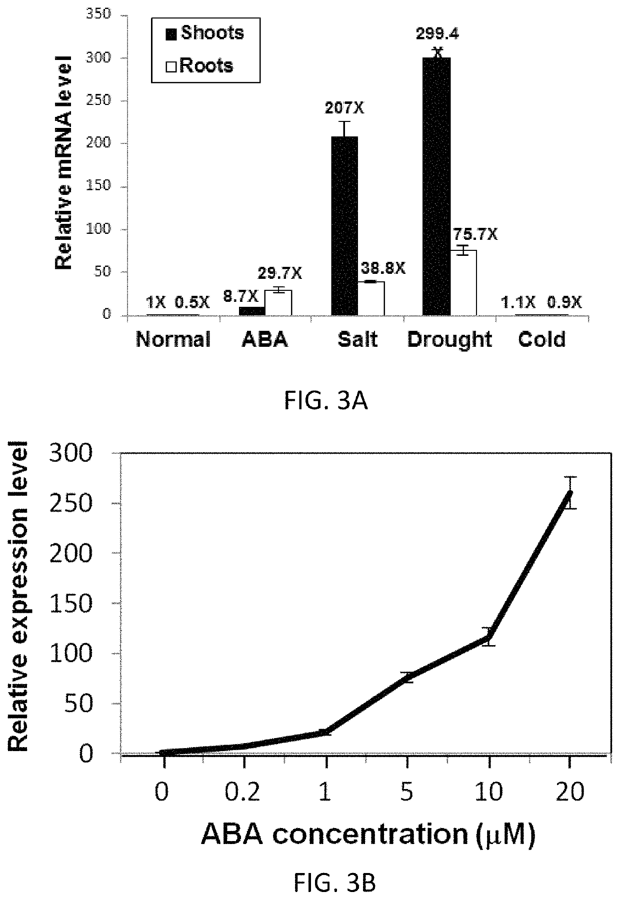 Transgenic plants expressing type 2C protein phosphatase abscisic acid (PP2CABA) proteins and uses thereof