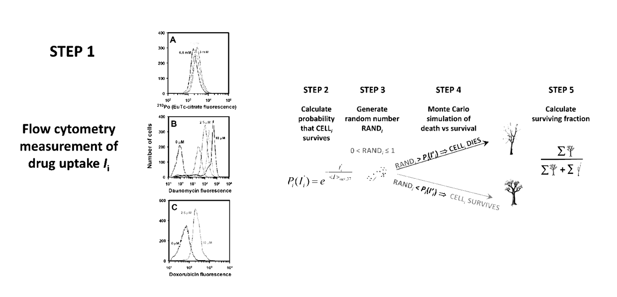 Methods and systems for determining the distribution of radiation dose and response