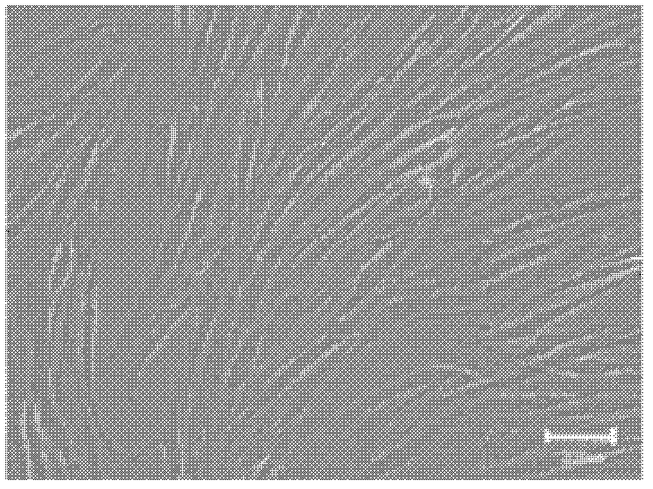 Method for preparing retinal pigment epithelia by utilizing human marrow mesenchymal stem cells