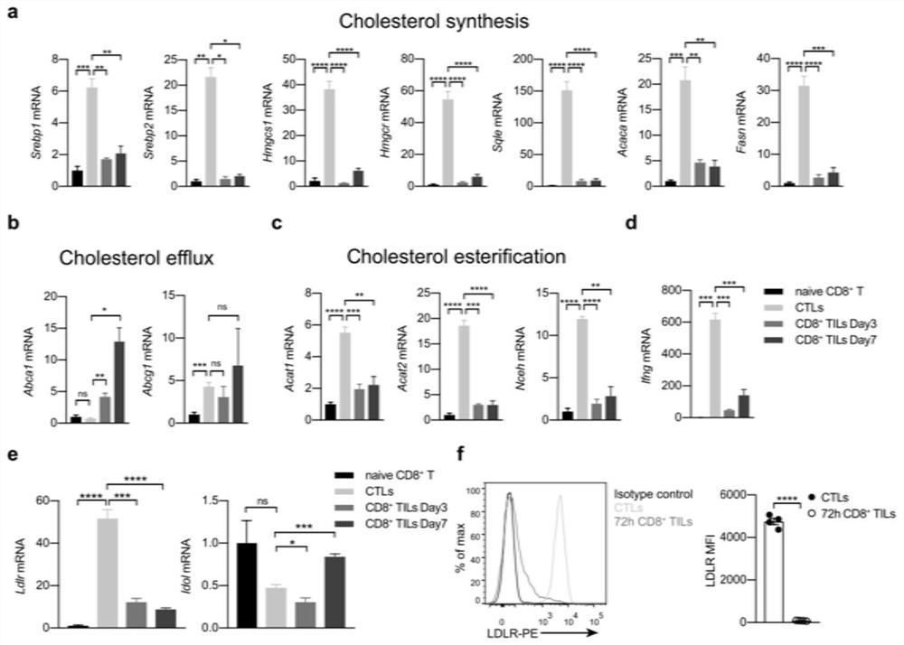 Application of PCSK9 in tumor immunotherapy and enhancement of immune effect of immune cells