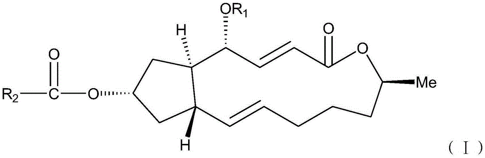 Brefeldin A ester derivatives and their preparation and application