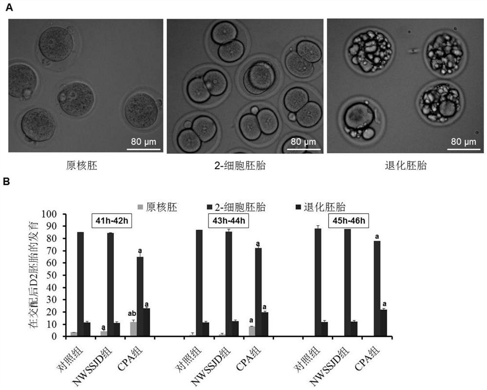 Application of new kidney-warming sperm-producing drink as medicine for reducing expression level of H3K27me3