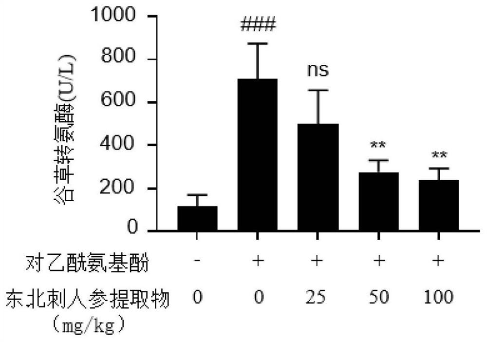 A kind of Northeast thorn ginseng chlorogenic acid extract and its preparation method and application