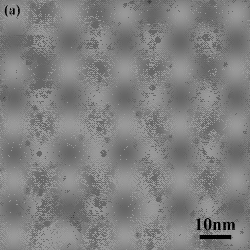 Core-shell structured quantum dot composite nanocrystalline fluorescence probe and preparation method thereof