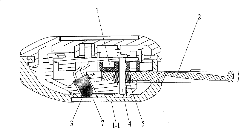 Magnifying glass with illuminating effect mounted on small-sized electric appliance and application thereof