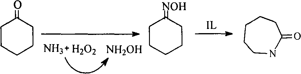 Process for directly synthesizing caprolactam by using cyclohexanone