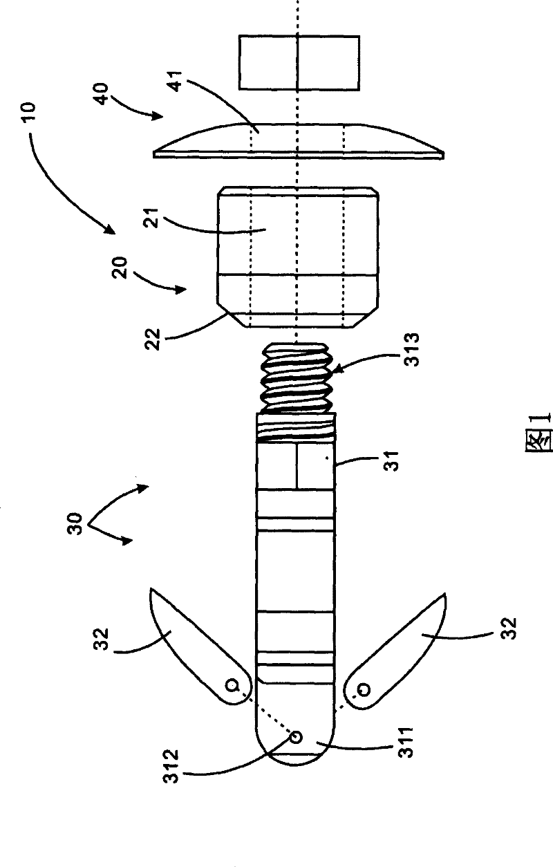 Supporting device of percutaneous expanding crest